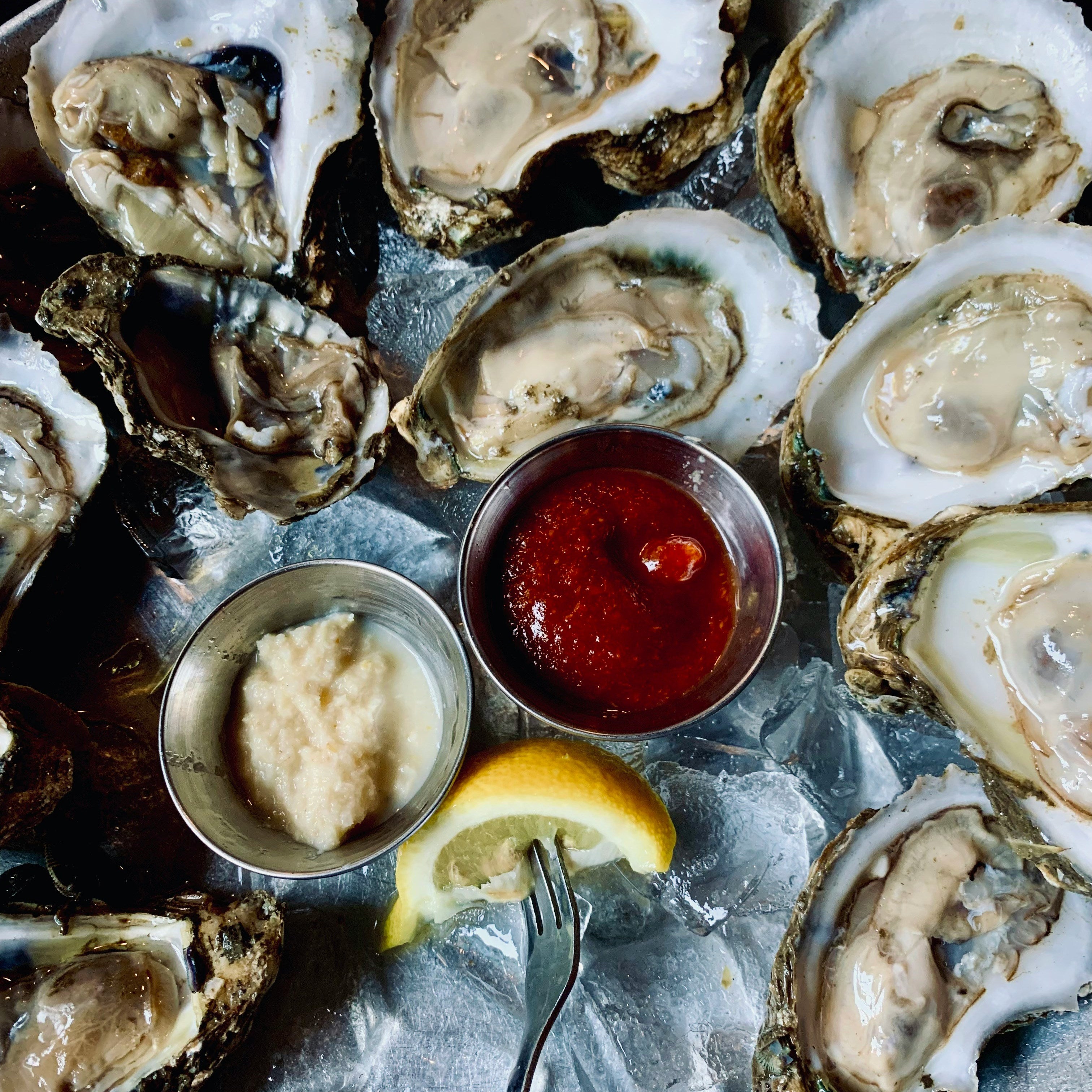 Oysters_08.jpg