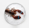 Lobster