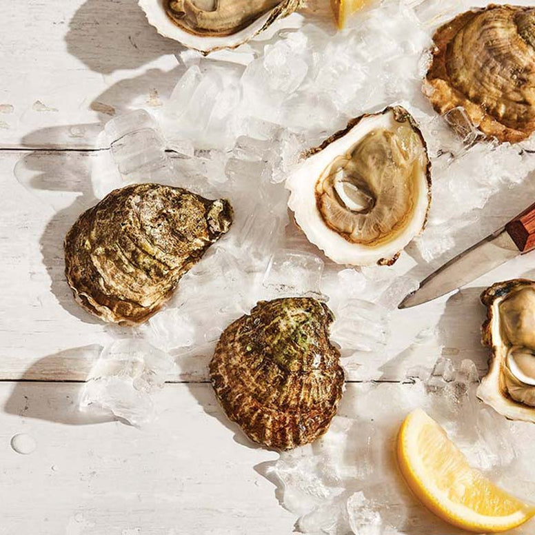 The Oysterman's Daughter gift card
